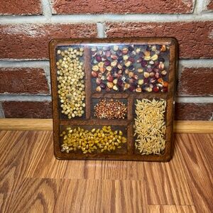 Gamut Designs VTG Lucite Trivet Wall Plaque Dried Seeds Kitchen Decor MCM Retro